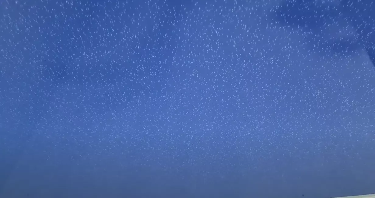 Рыбинск, улица Новая, 21, фото 3