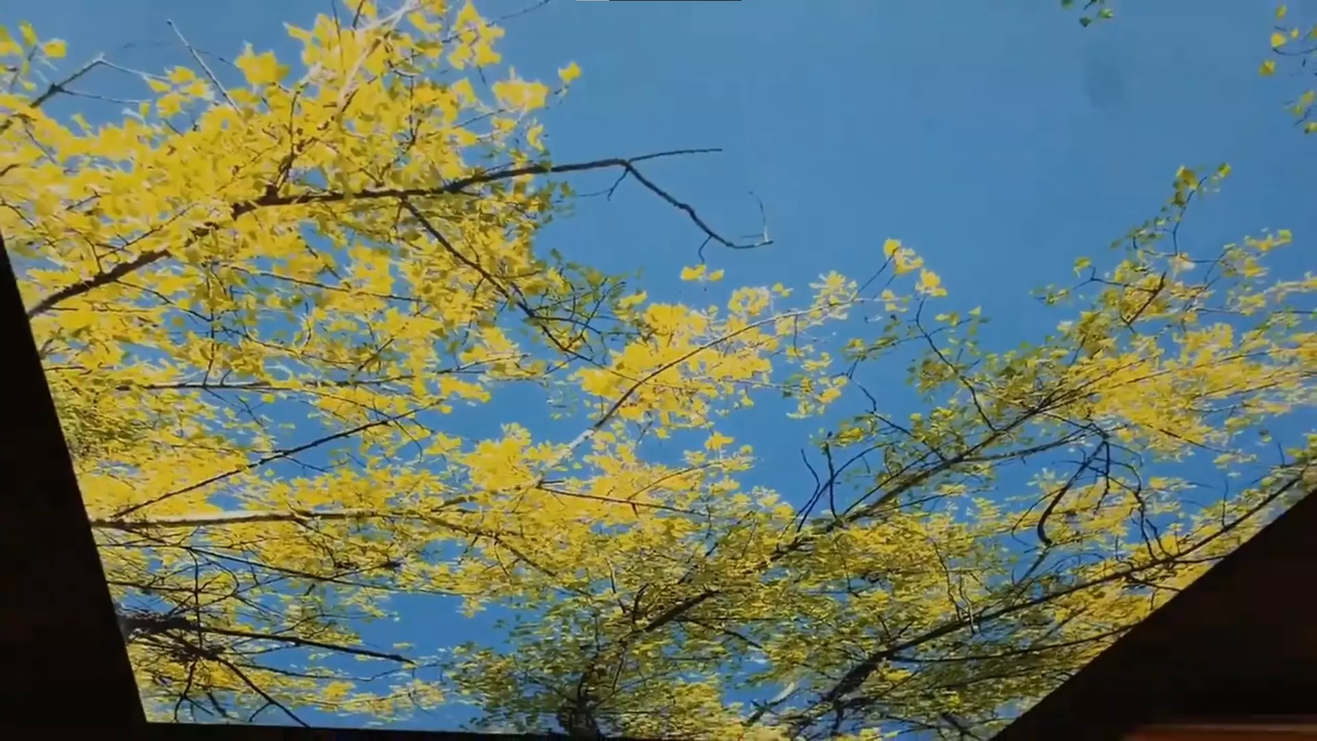 Рязань, Трудовая, 7, фото 2