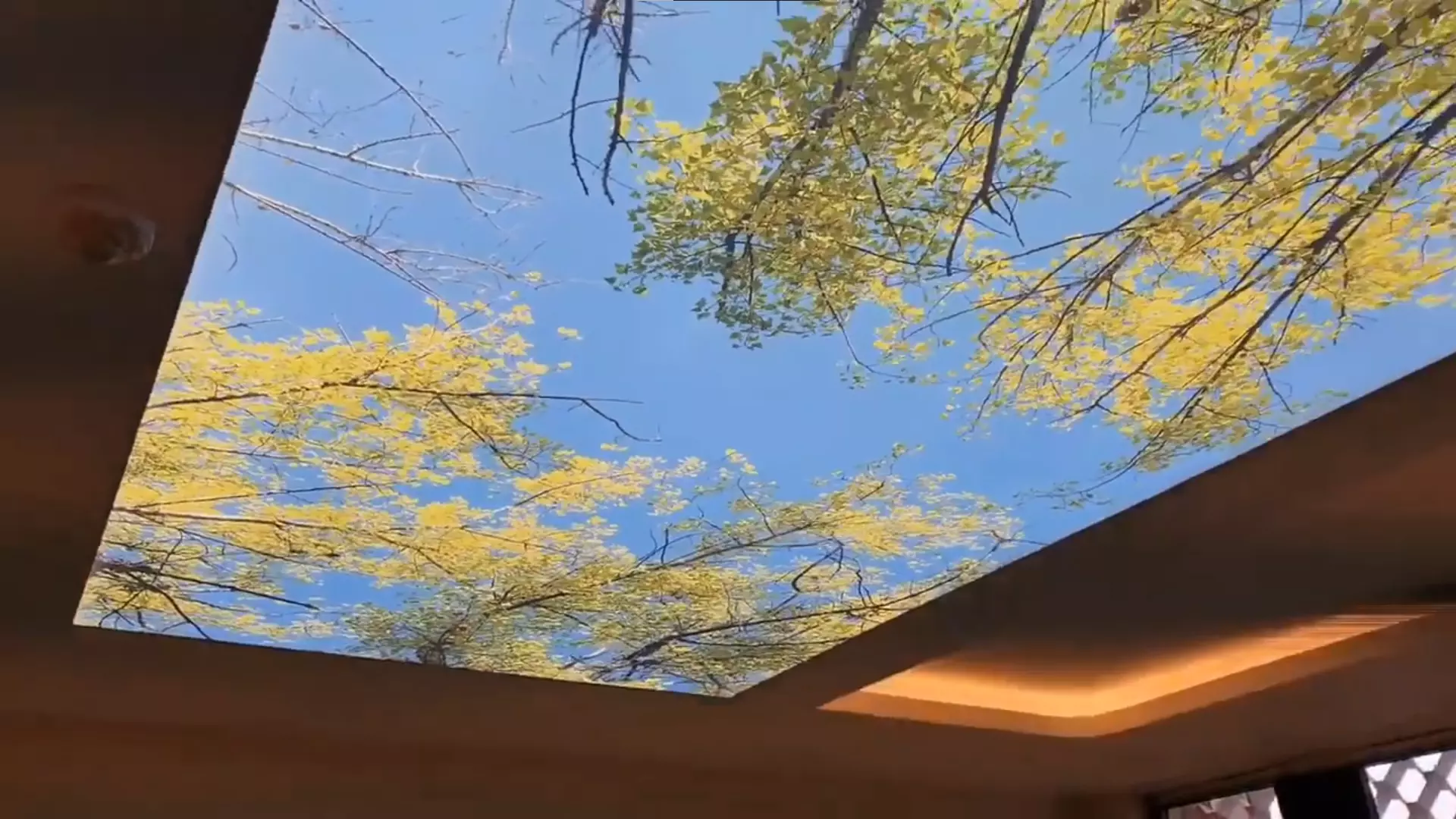 Рязань, Трудовая, 7, фото 3